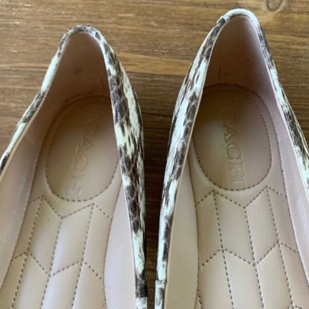Coach Annabel Snake Print Pointed Toe Ballet Flats Sz 6.5 New! - Picture 8 of 13
